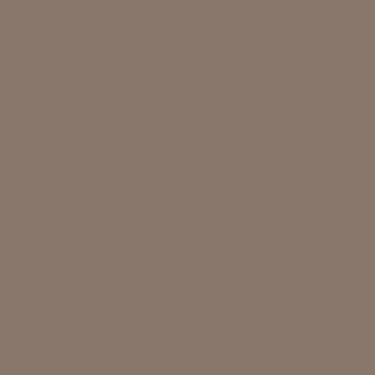 Paint - Taupe