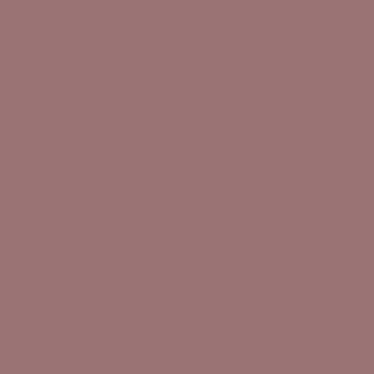 Paint - Musk Pink
