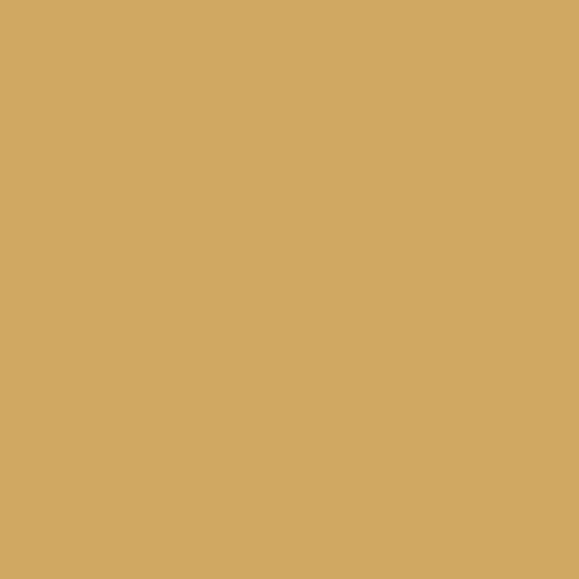 Paint - Vermeer Yellow