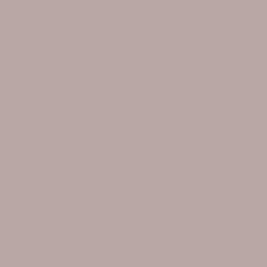 Paint - Faded Rose