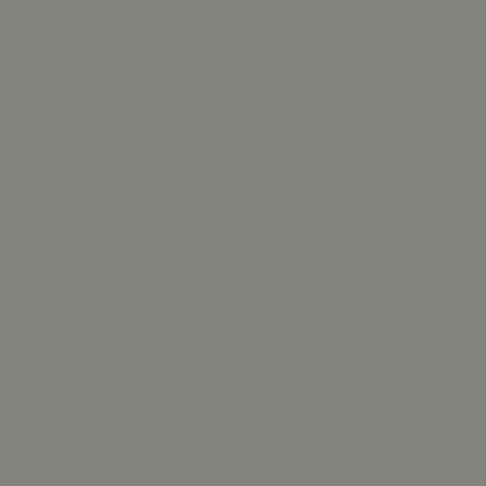 Paint - Empire Grey