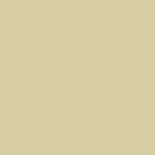 Paint- Asparagus