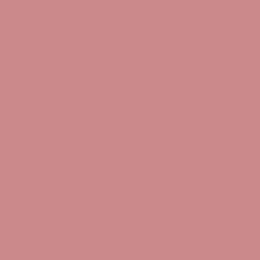 Garlic Prawn William Yeoward Paint